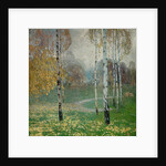 Birch Trees, 1904 by Alois Kalvoda
