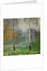 Birch Trees, 1904 by Alois Kalvoda
