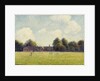 Hampton Court Green, 1891 by Camille Pissarro