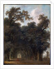 A Shaded Avenue, c. 1775 by Jean-Honore Fragonard