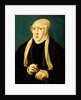 Mary, Queen of Hungary by Jan Cornelisz (after) Vermeyen
