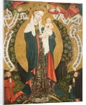 Virgin and Child on a Crescent Moon from Deštná, c.1450 by Bohemian School