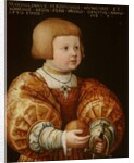 Portrait of Maximilian of Austria Aged Three, 1630 by Jakob Seisenegger