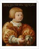 Portrait of Maximilian of Austria Aged Three, 1630 by Jakob Seisenegger