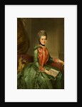 Portrait of Princess Frederika Sophia Wilhelmina, c.1768-69 by Johann Georg Ziesenis