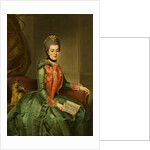 Portrait of Princess Frederika Sophia Wilhelmina, c.1768-69 by Johann Georg Ziesenis