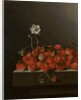 Still Life with Wild Strawberries, 1705 by Adrian Coorte