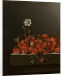 Still Life with Wild Strawberries, 1705 by Adrian Coorte