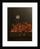 Still Life with Wild Strawberries, 1705 by Adrian Coorte