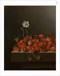 Still Life with Wild Strawberries, 1705 by Adrian Coorte