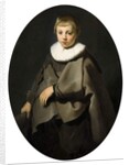 Portrait of a Boy in Grey, 1634 by Jacob Adriensz Backer