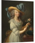 Marie-Antoinette dans une robe en mousseline, années 1780 by Elisabeth Louise Vigee-Lebrun