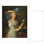 Marie-Antoinette dans une robe en mousseline, années 1780 by Elisabeth Louise Vigee-Lebrun