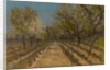 Vineyard, c.1890-95 by Laszlo Mednyanszky