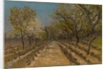 Vineyard, c.1890-95 by Laszlo Mednyanszky