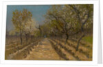 Vineyard, c.1890-95 by Laszlo Mednyanszky