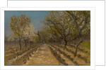 Vineyard, c.1890-95 by Laszlo Mednyanszky