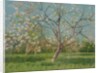 Orchard trees in blossom, 1900-10 by Laszlo Mednyanszky
