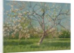 Orchard trees in blossom, 1900-10 by Laszlo Mednyanszky