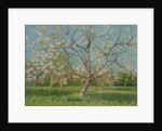 Orchard trees in blossom, 1900-10 by Laszlo Mednyanszky