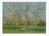 Orchard trees in blossom, 1900-10 by Laszlo Mednyanszky