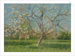Orchard trees in blossom, 1900-10 by Laszlo Mednyanszky