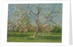Orchard trees in blossom, 1900-10 by Laszlo Mednyanszky