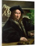 Portrait of a Collector, c.1523 by Parmigianino