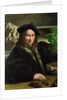Portrait of a Collector, c.1523 by Parmigianino