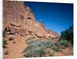 Park Avenue, Arches National Park, Utah by Anonymous