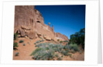 Park Avenue, Arches National Park, Utah by Anonymous
