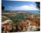 Bryce Canyon National Park, Utah by Anonymous