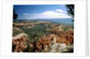 Bryce Canyon National Park, Utah by Anonymous