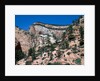Zion National Park, Utah by Anonymous