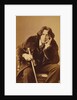 Oscar Wilde, c.1882 by Napoleon Sarony
