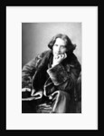 Oscar Wilde, c.1882 by Napoleon Sarony
