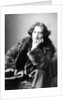 Oscar Wilde, c.1882 by Napoleon Sarony