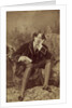 Oscar Wilde, 1882 by Napoleon Sarony