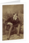 Oscar Wilde, 1882 by Napoleon Sarony