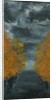 The Avenue, 1903 by August Johan Strindberg