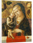 Madonna and Child, c. 1490 by Carlo Crivelli