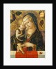Madonna and Child, c. 1490 by Carlo Crivelli