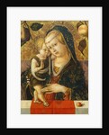 Madonna and Child, c. 1490 by Carlo Crivelli