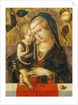 Madonna and Child, c. 1490 by Carlo Crivelli