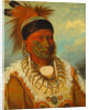 The White Cloud, Head Chief of the Iowas, 1844-45 by George Catlin
