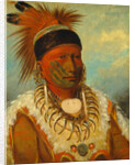 The White Cloud, Head Chief of the Iowas, 1844-45 by George Catlin
