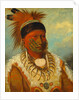 The White Cloud, Head Chief of the Iowas, 1844-45 by George Catlin
