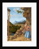 Saint Jerome in the Wilderness, c. 1500-05 by Giovanni Battista Cima da Conegliano