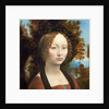 Ginevra de' Benci, c. 1474- 78 by Leonardo da Vinci