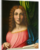 Salvator Mundi, c. 1515 by Correggio